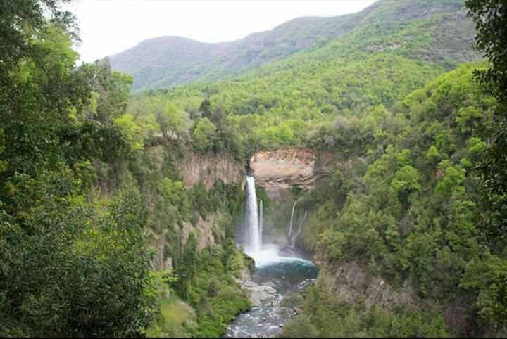 Cabanas El Toro - Radal Siete Tazas โมลินา ภายนอก รูปภาพ