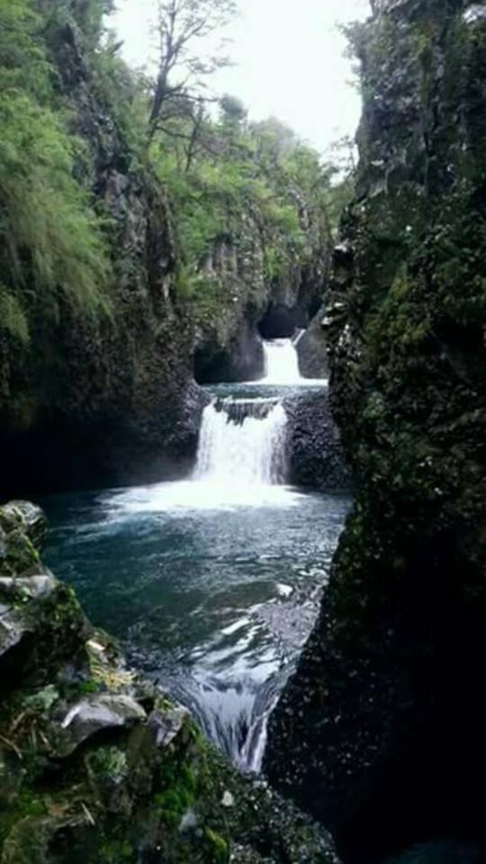 Cabanas El Toro - Radal Siete Tazas โมลินา ภายนอก รูปภาพ